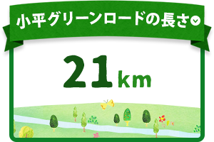 グリーンロードの長さ 21キロメートル